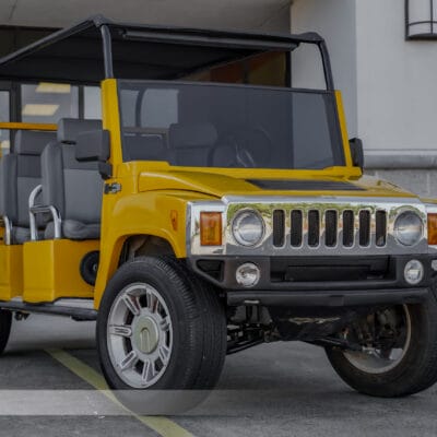 2013 Yellow ACG Limo