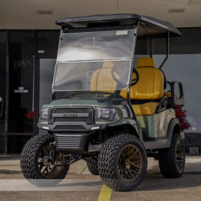 2019 Sage Green Club Car Alpha EFI Gas
